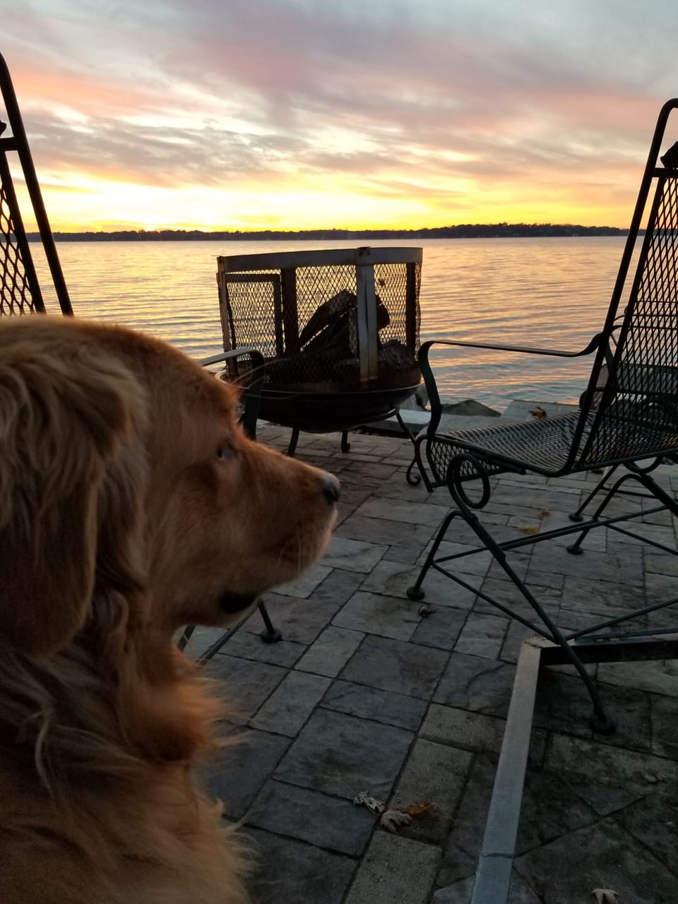 Dogs welcomed! My pup just loves a fire by the lake!! Awesome location!! 