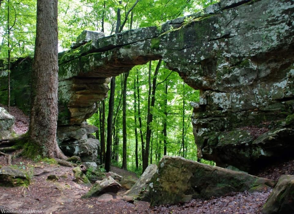 Sewanee Natural Bridge and hiking trails, just 35 mins away.