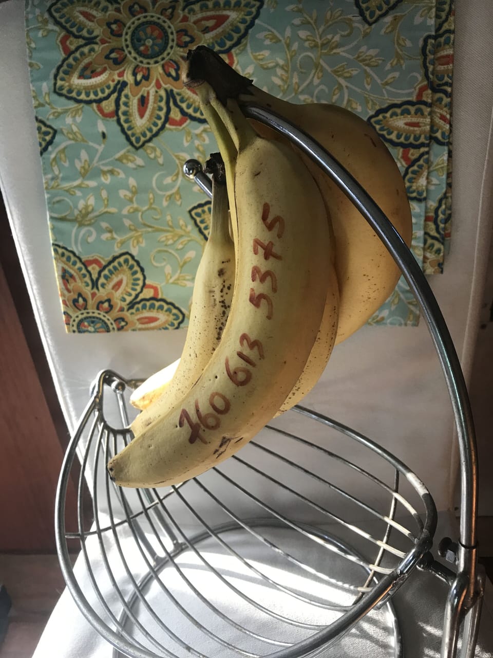 wow miraculous bruising pattern!