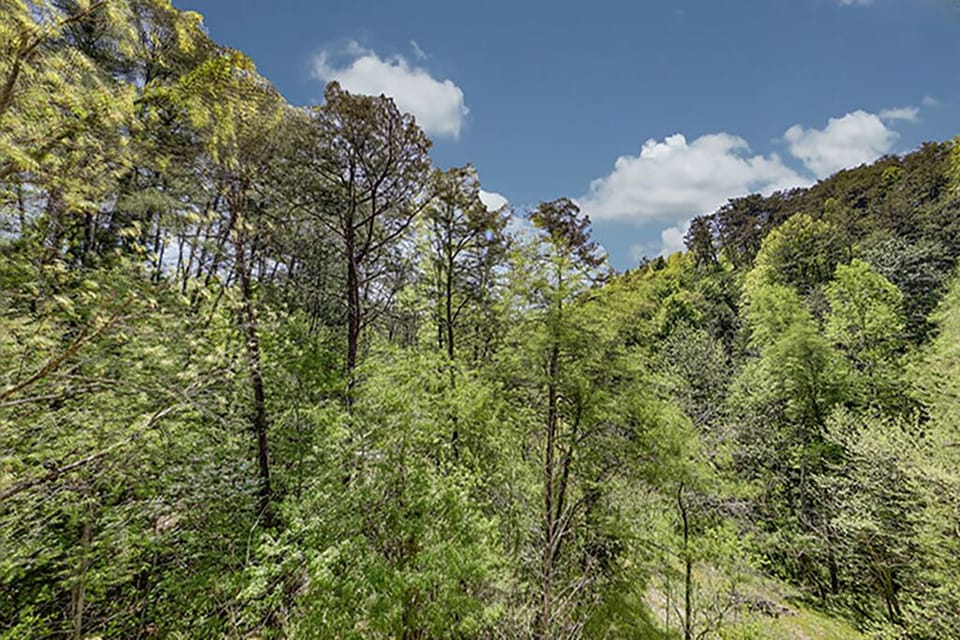 13521TTzlaiaDg-20210422145752