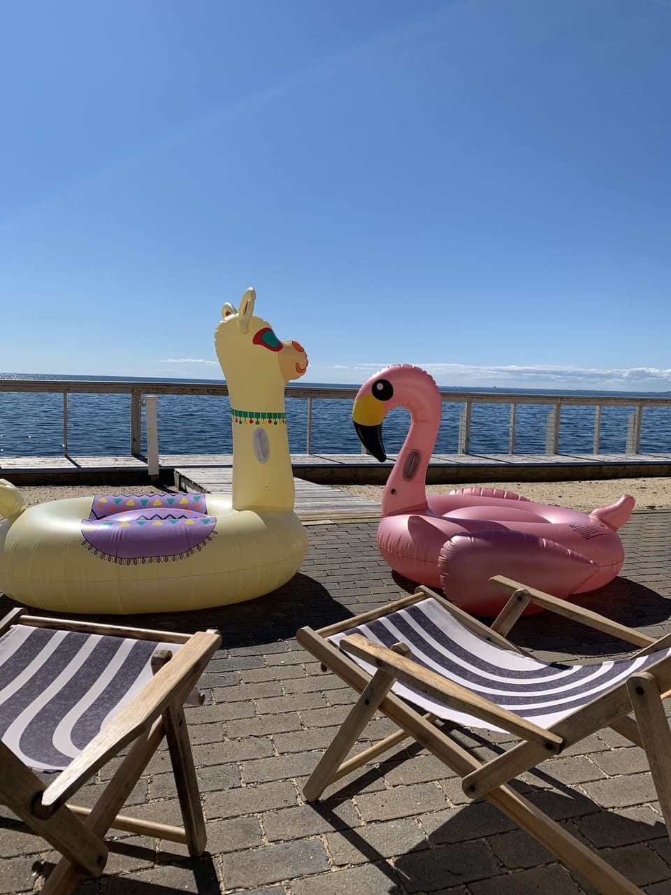 Let the Races Begin!