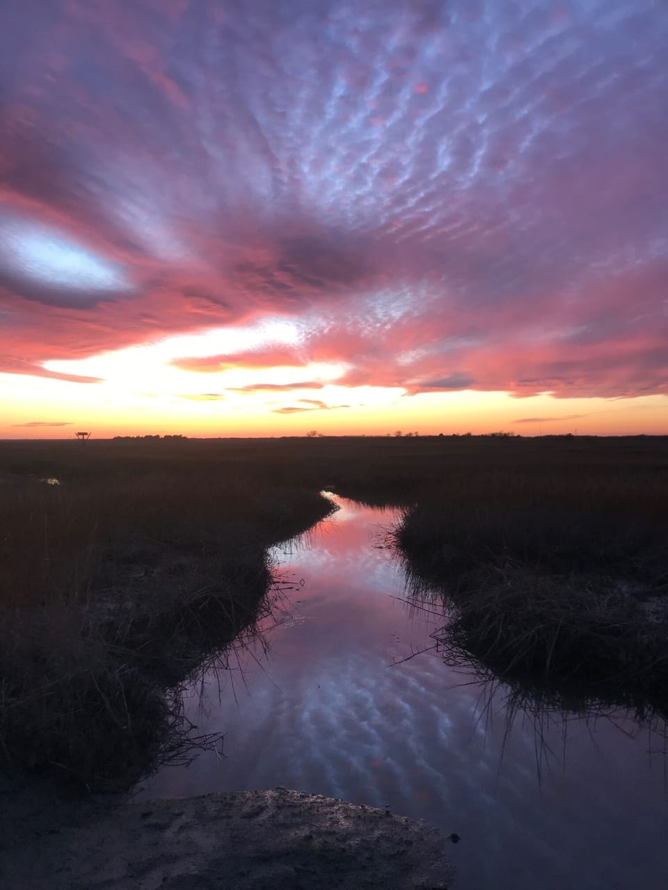 Nightly Sunset from Kayak Launch