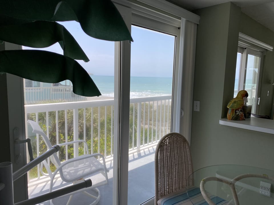 View from Kitchen
