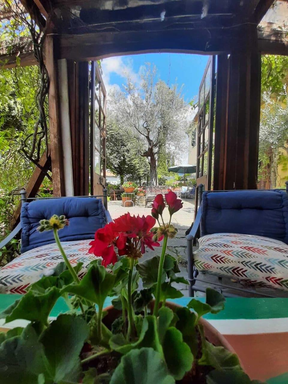 Terrace/patio