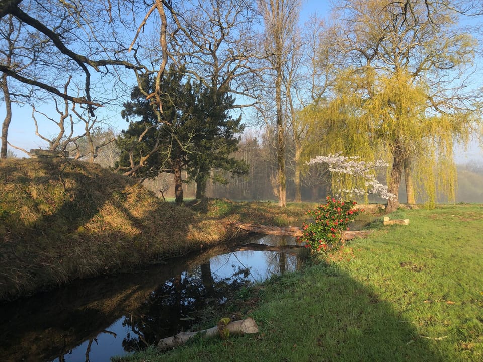 Pond