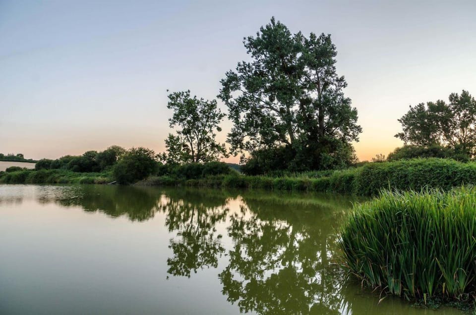 Swimming lake (2)