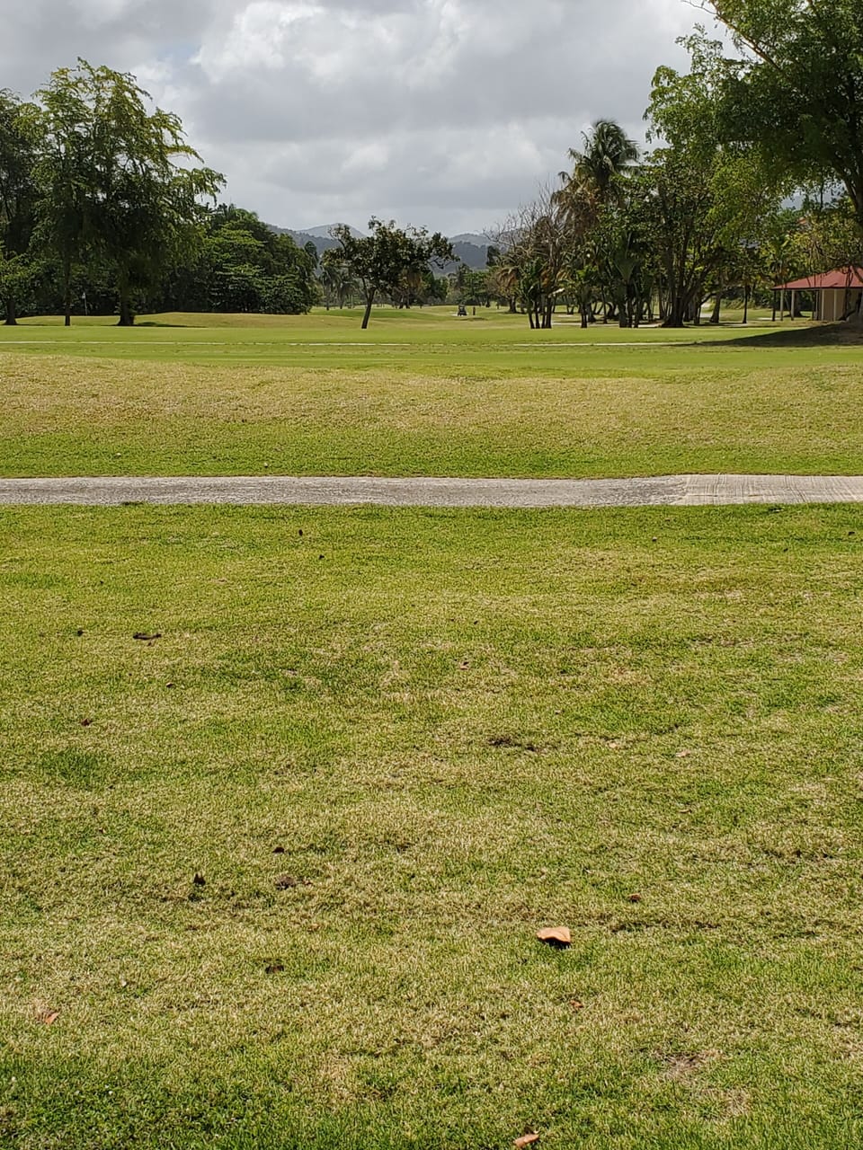 Golf course view