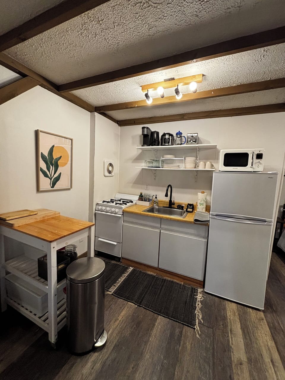 Stocked kitchen (stove, microwave, fridge, Keurig, French Press, Rice Maker..)