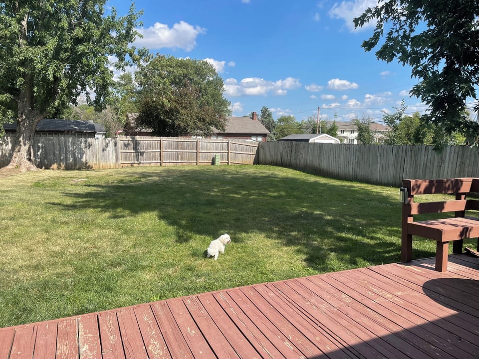 Large backyard