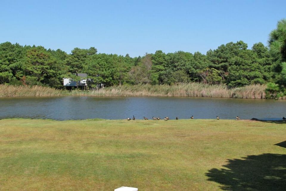 Lake View 