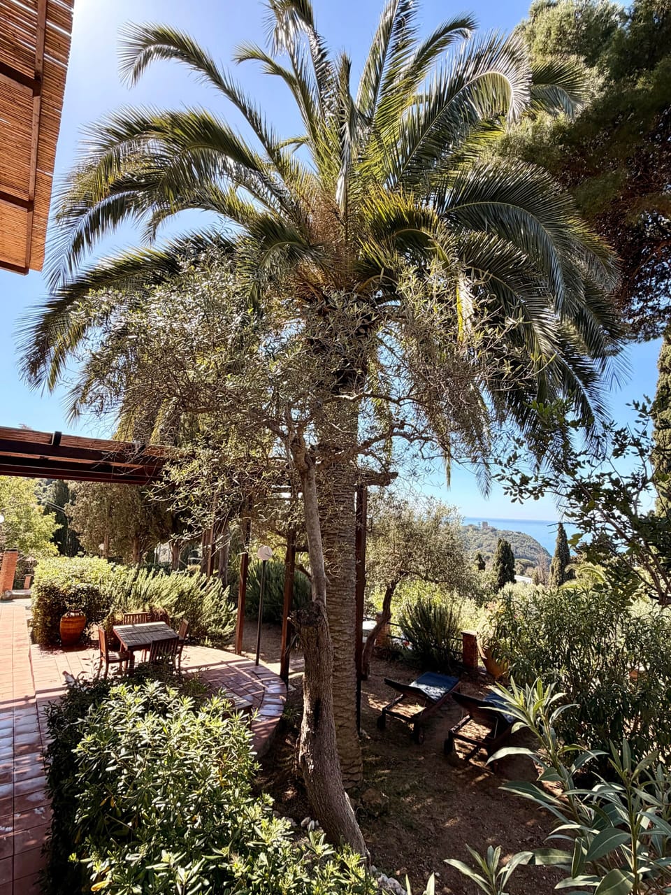 The Bougainville House exterior, nestled in the greenery of Torre Bianca in Gaeta.