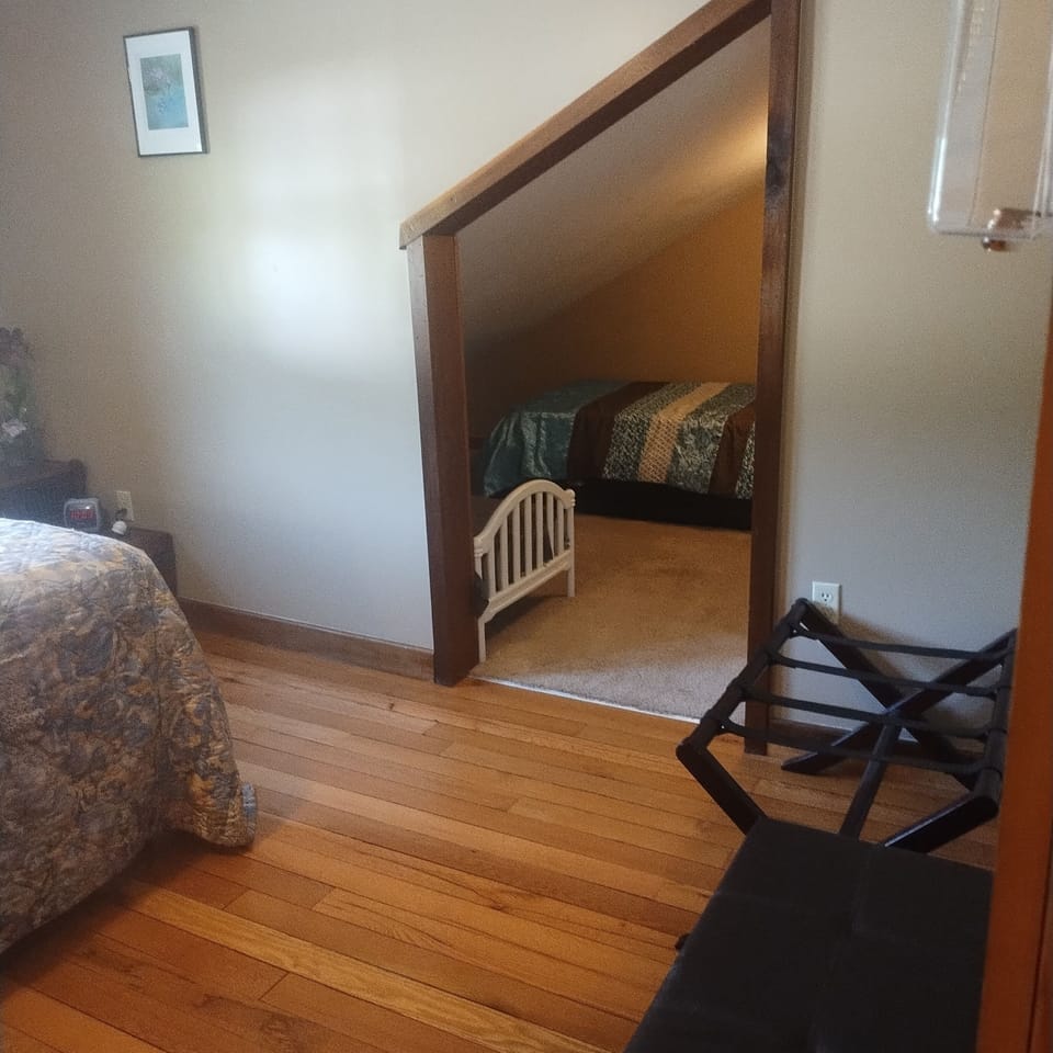 room, indoor, upstairs in main home, twin bed and toddler/junior bed