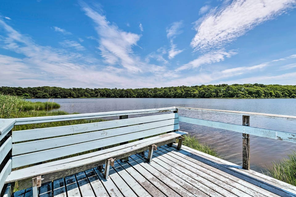 Swan Pond | 1 Block From Home