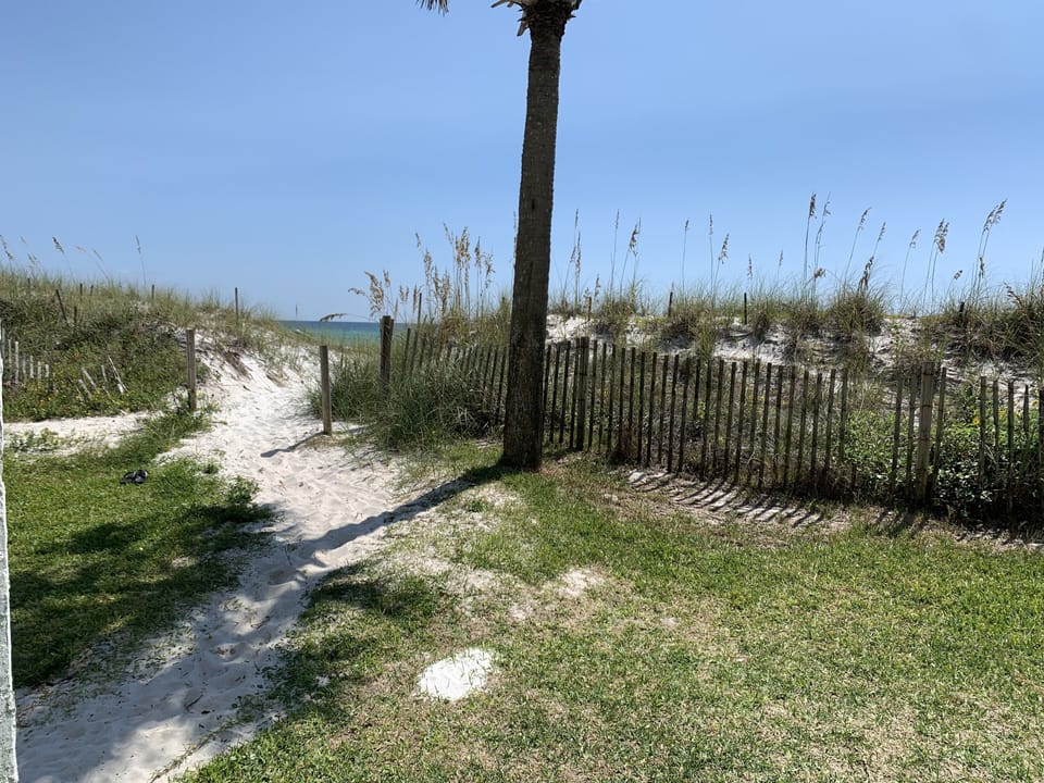View from back porch! The beach is in your backyard!
