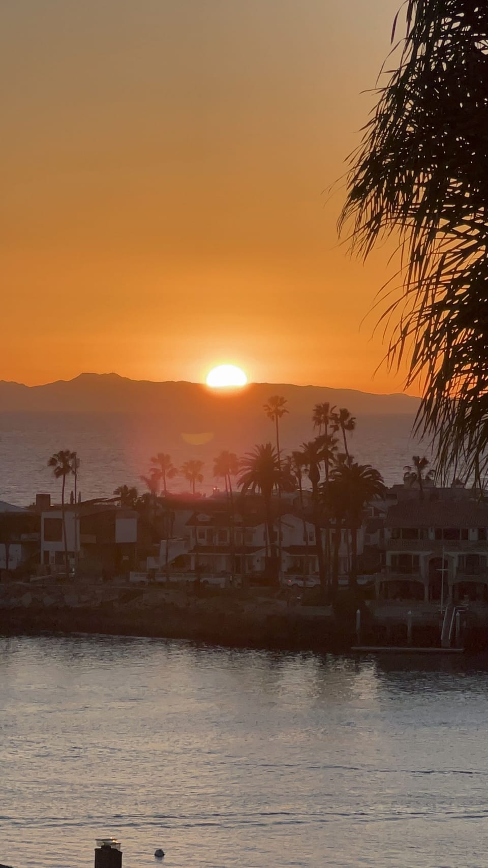 One of the best sunsets Jan 2023