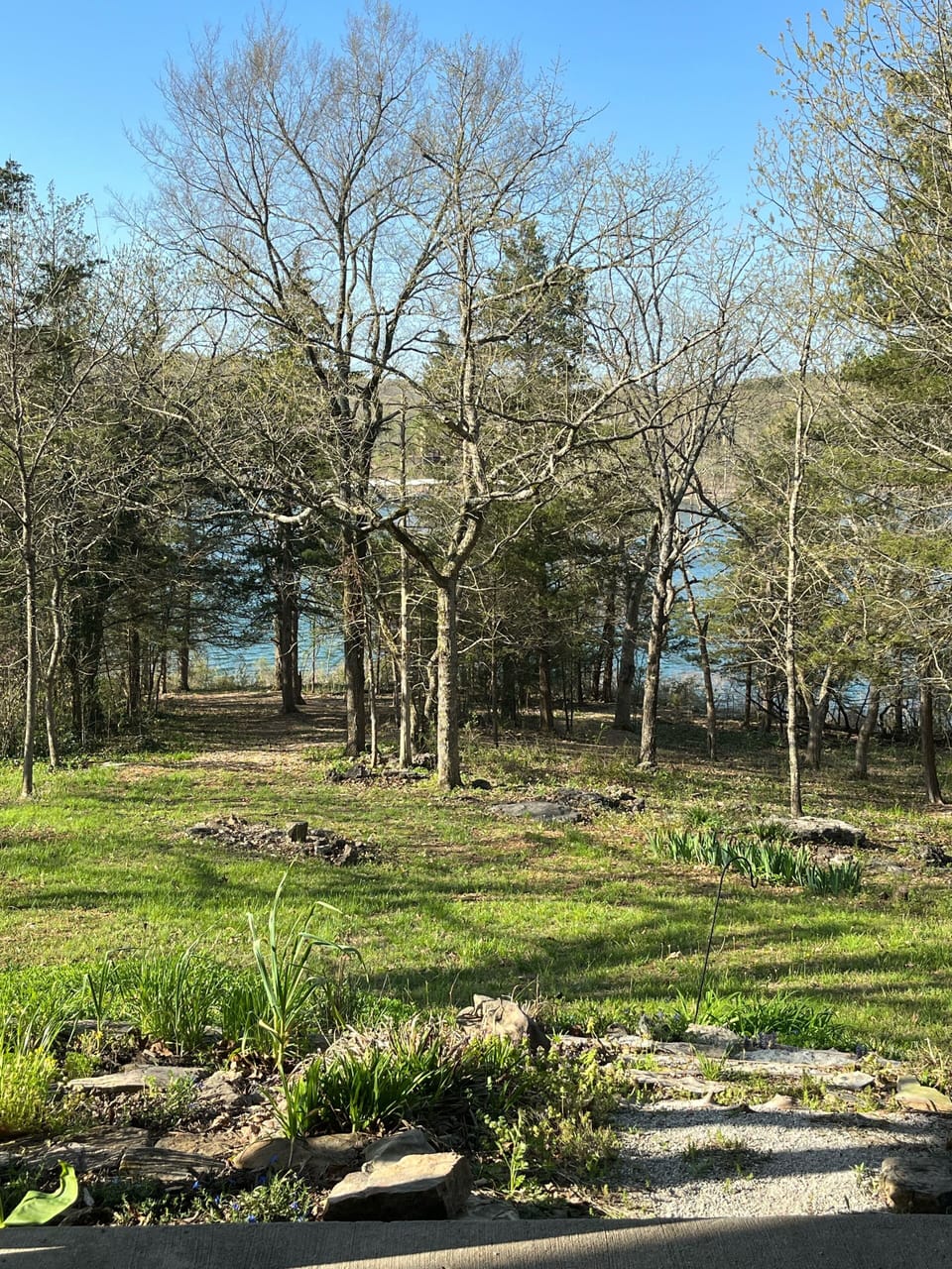 View from lower patio