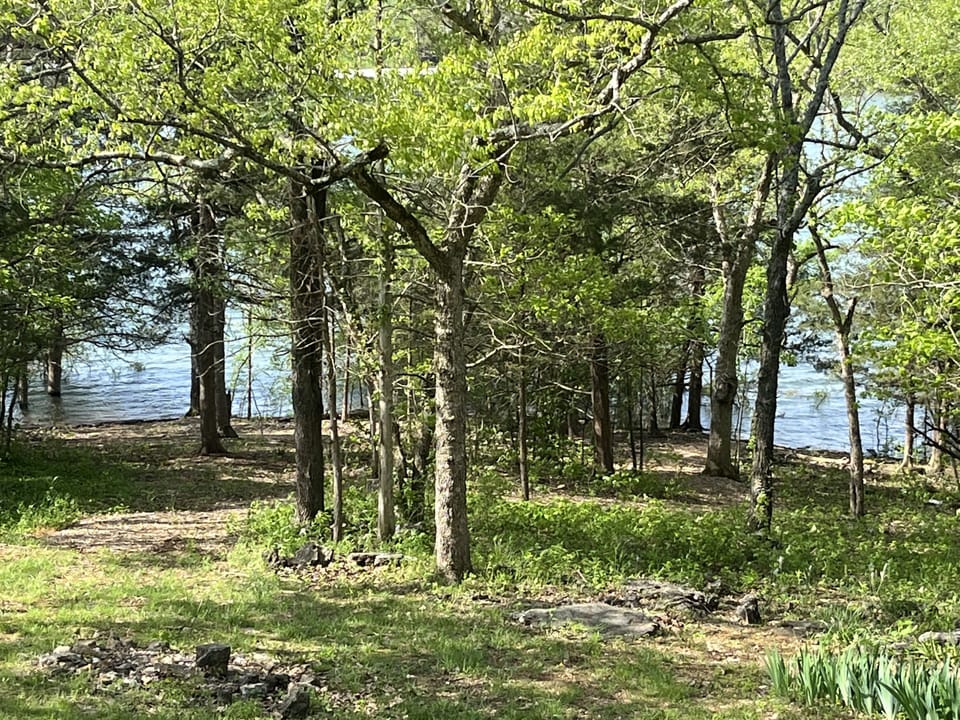 View from back porch