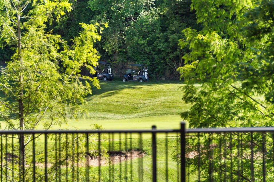 Patio View