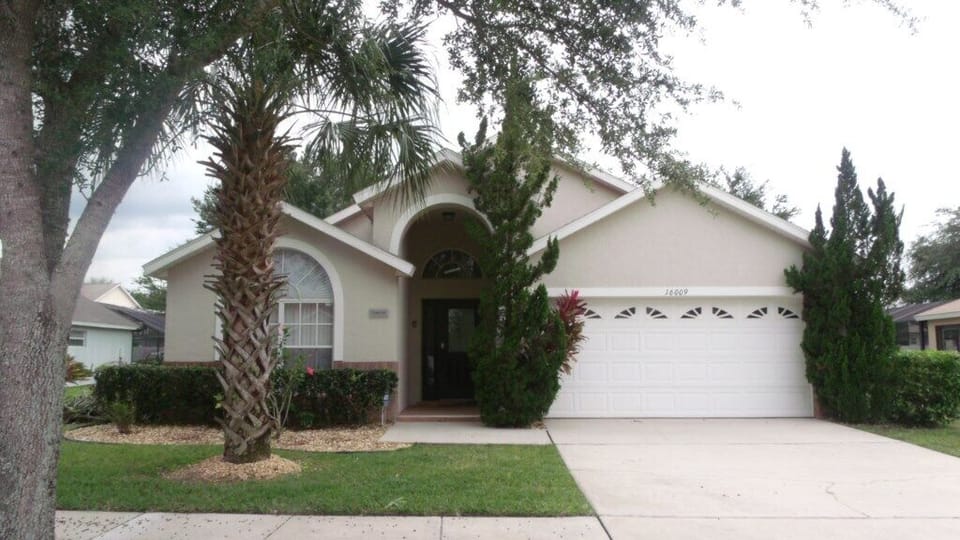 Orange Tree BHL16009