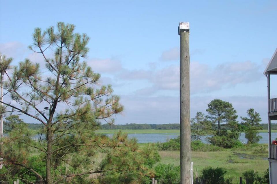 Views of Assateague and the Lighthouse