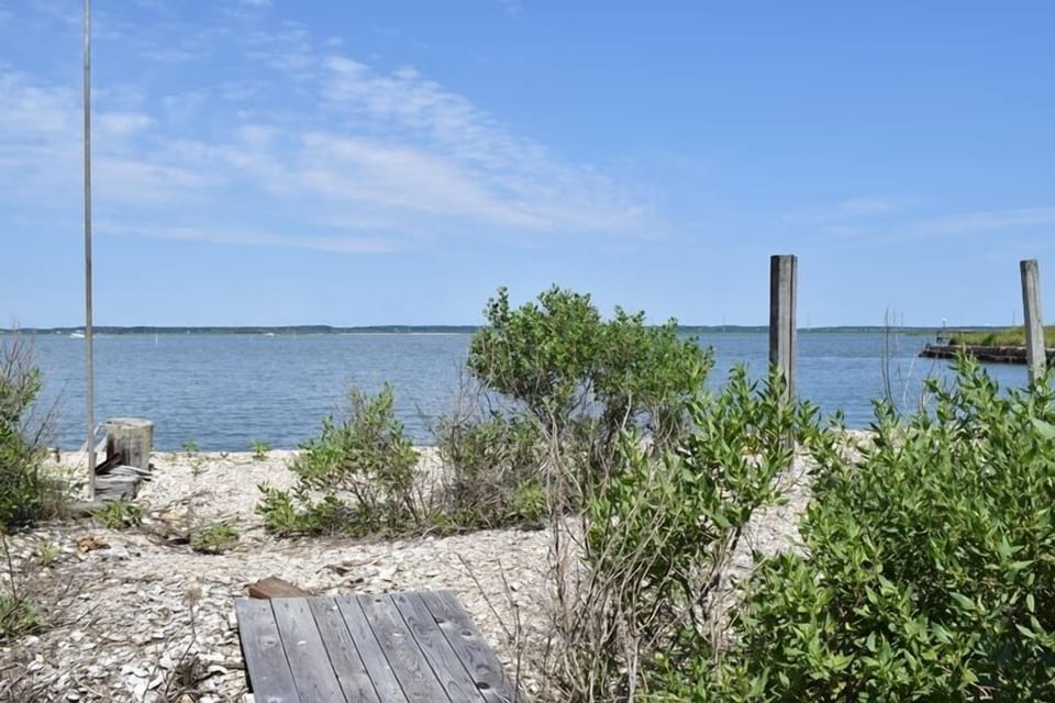 Wade across the makeshift boardwalk to a private shelled beach area
