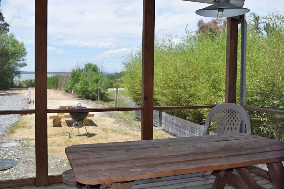 Views from Screened Porch 