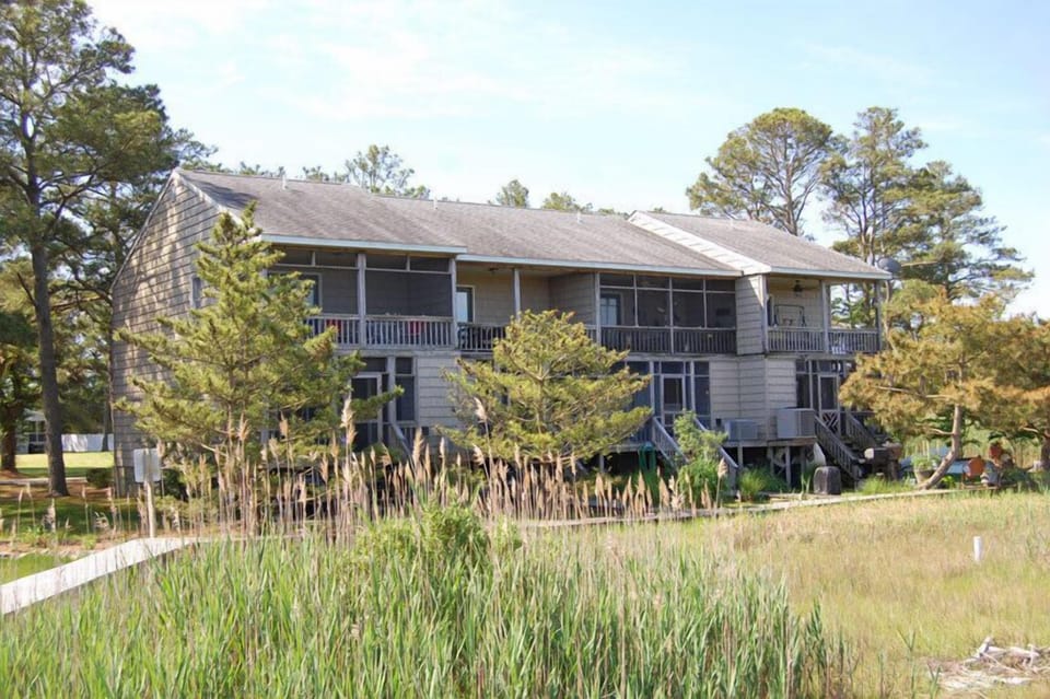 Nestled by the Wetlands