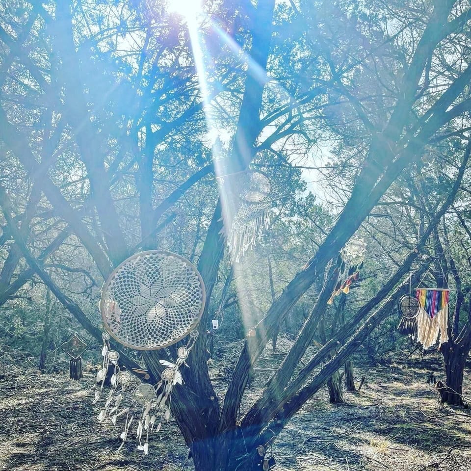 The Dream Catcher Tree
