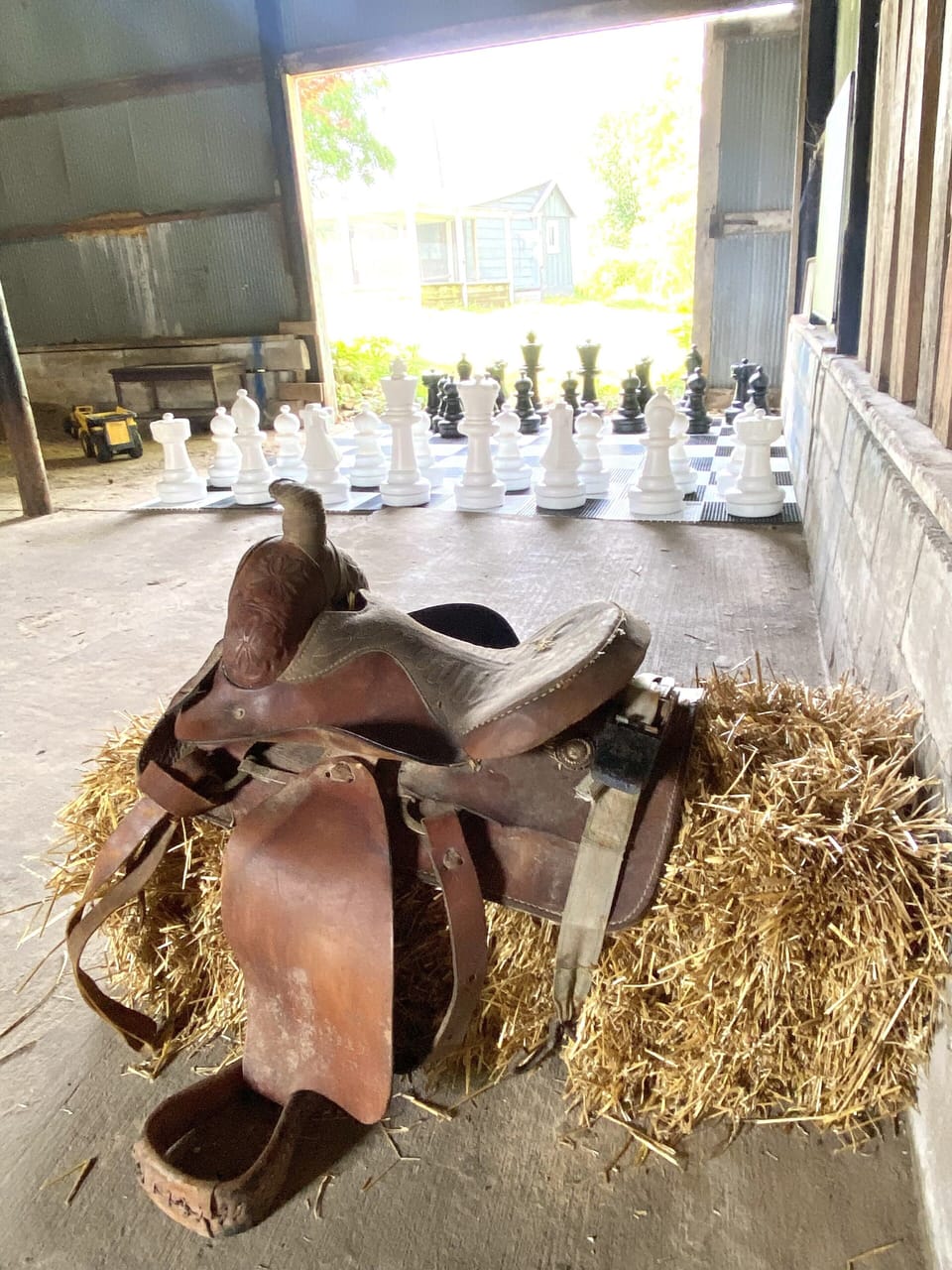 saddle for kid or bachelorette photo ops, whichever 