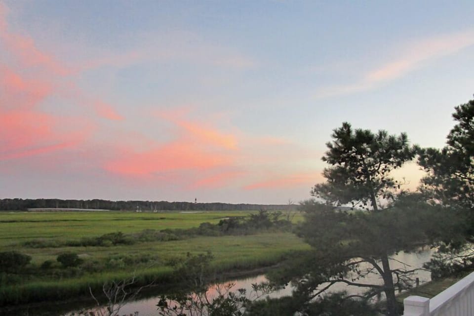 Gorgeous Views of Assateague!