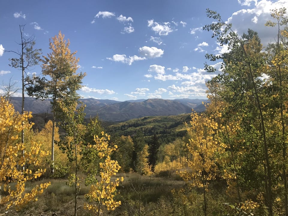 View from Great room