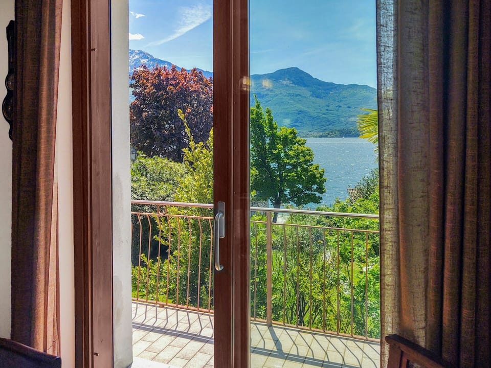 Sky, Water, Plant, Property, Shade, Wood, Window, Botany, Vegetation