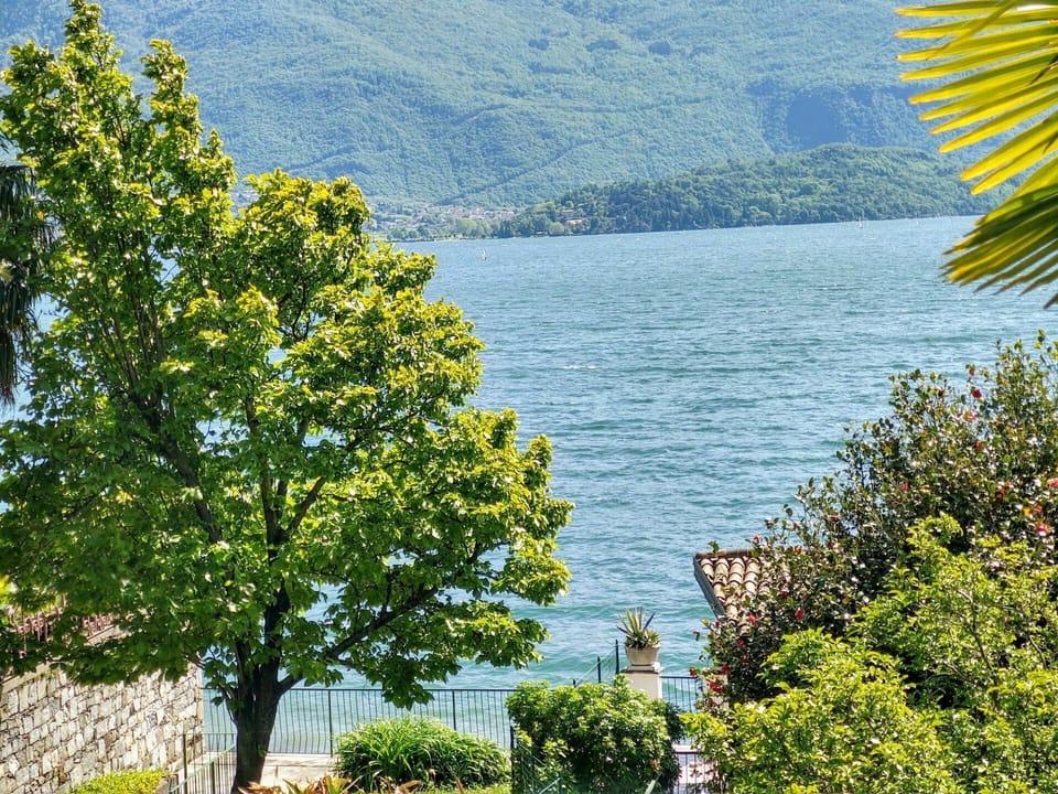 Water, Plant, Green, Nature, Leaf, Natural Landscape, Azure, Natural Environment, Body Of Water, Lake
