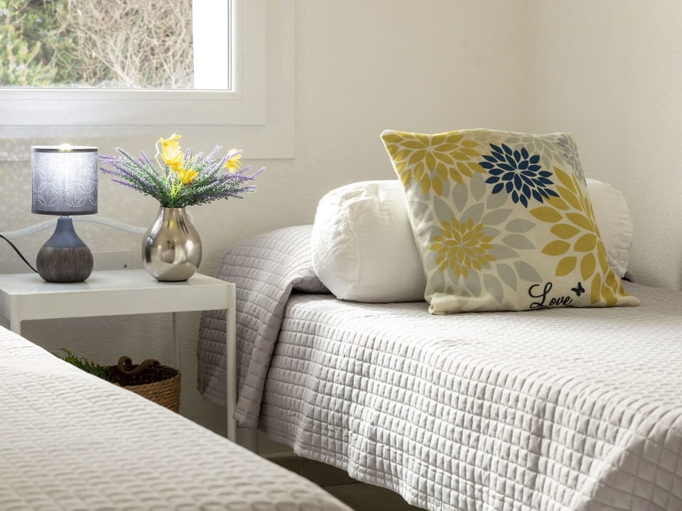 Plant, Furniture, Property, Flower, Flowerpot, Rectangle, Pillow, Comfort, Interior Design, Textile