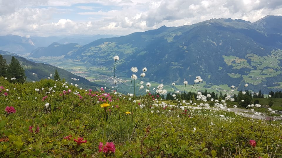 Zillertaler Höhenstrasse Ende Juni