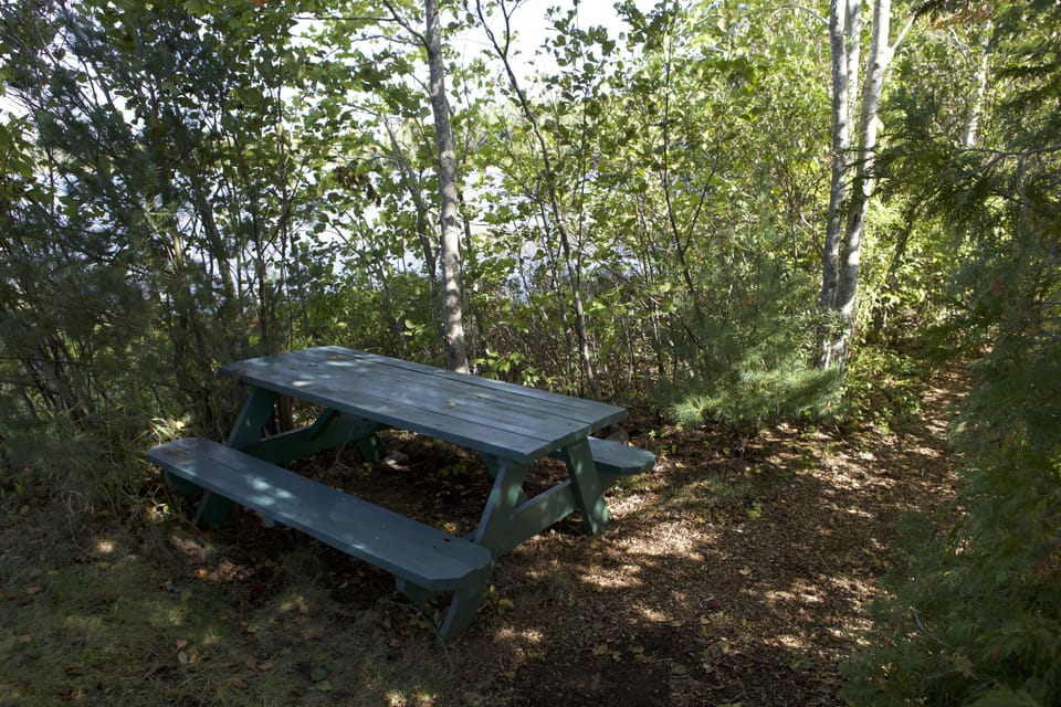 Shaded picnic area by the dock.