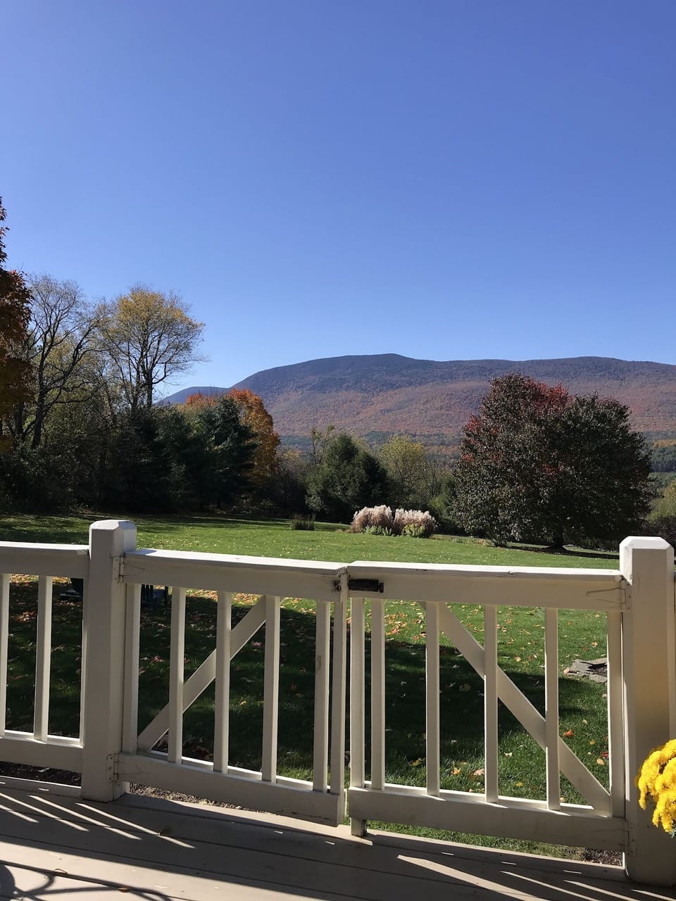View from back deck