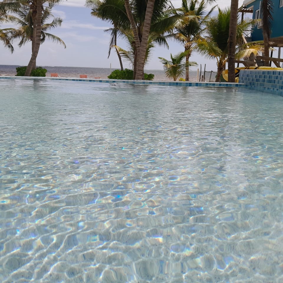 Our brand new sparkling clean swimming pool features a wading area for children