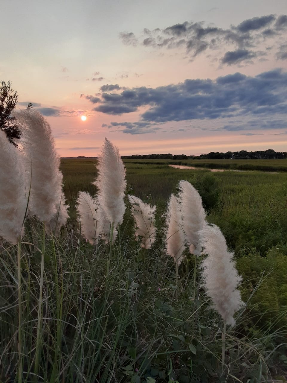 Walking & biking lanes to & from the condo to Folly beach with views like this.