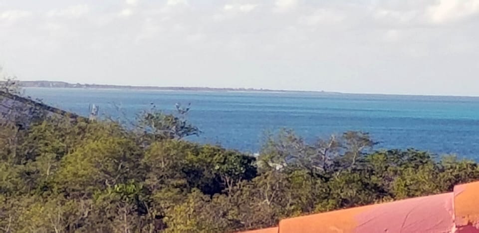 View to the north from deck