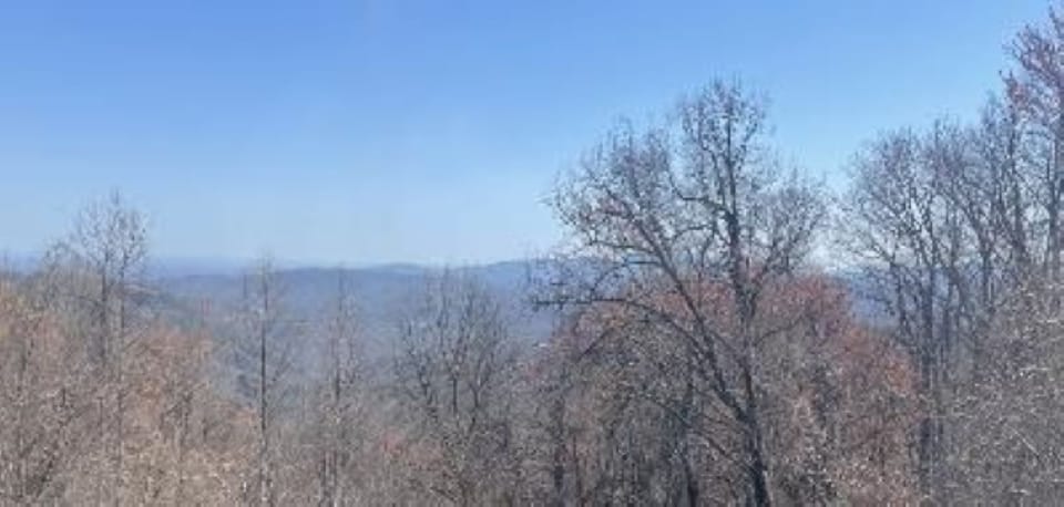 Your View During the Winter From Living Room Window