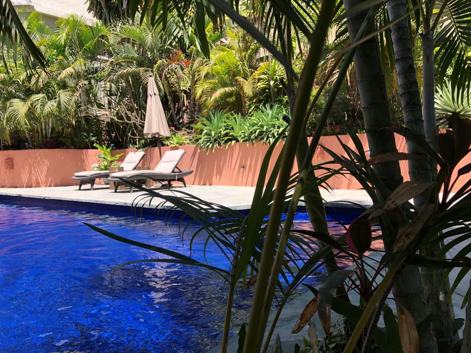 Sunny lounging by the pool (extra chairs and umbrellas available).