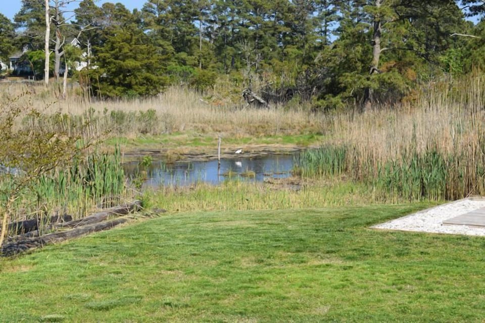 Access to an adjoining pond