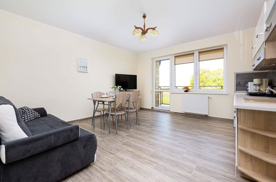 Spacious living room with full equipment. 