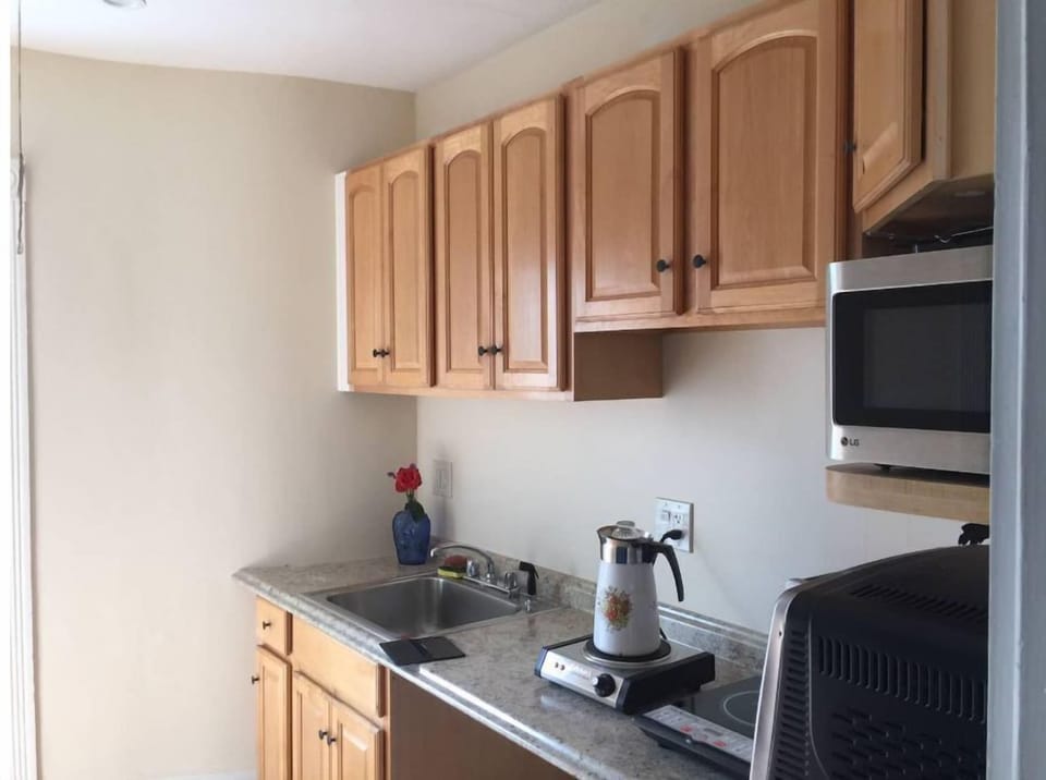 Kitchen cabinets & sink area
