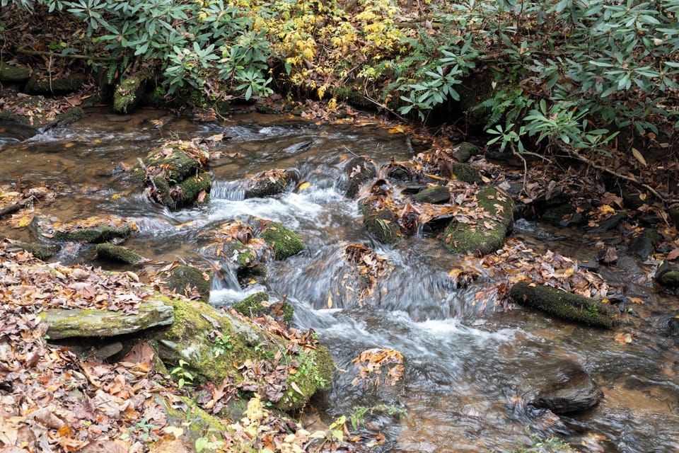 "Great getaway location and was perfect for what we needed" -Katie