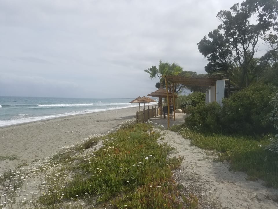 Beach