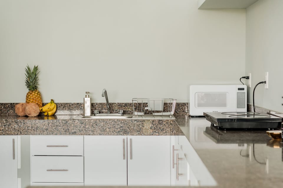 escentialy equiped kitchen