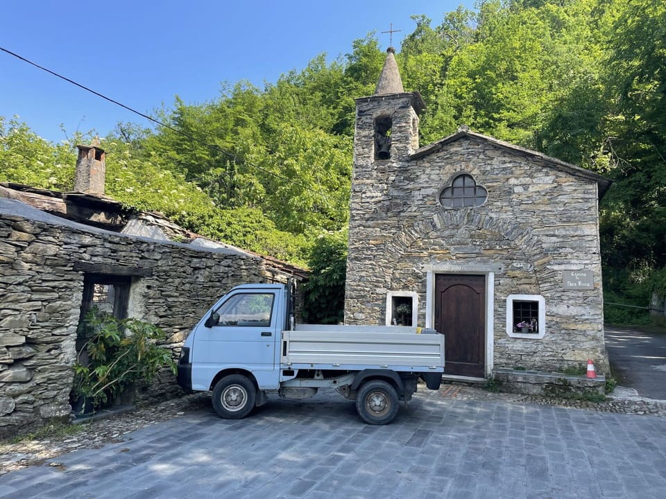 Wheel, Plant, Sky, Building, Window, Vehicle, Car, Tree
