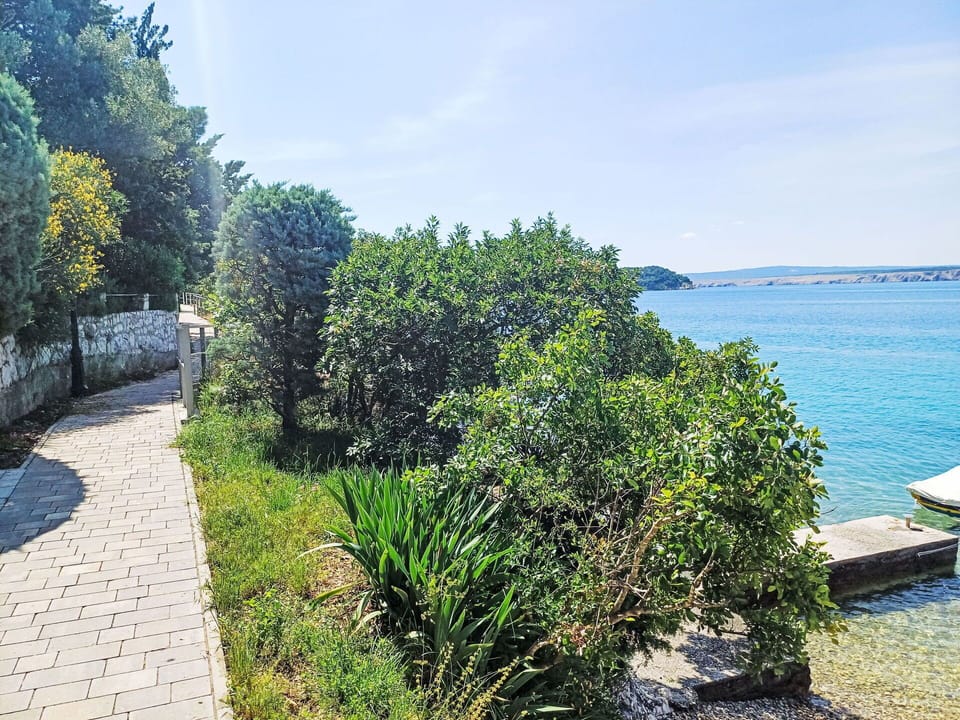 Water, Plant, Sky, Blue, Azure, Cloud, Natural Landscape, Land Lot, Coastal And Oceanic Landforms, Grass